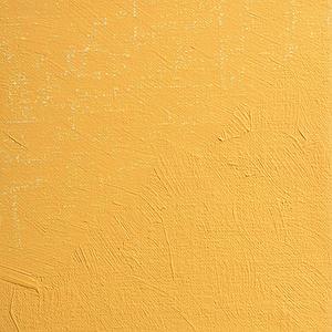 OLIEVERF 35ML - 215 BRILLANT GEEL DONKER