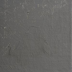 OLIEVERF 35ML - 273 WARM GRIJS