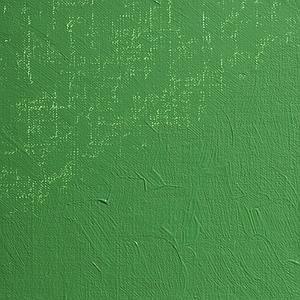 OLIEVERF 200ML - 464 VERONESE GROEN