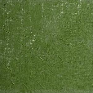 OLIEVERF 200ML - 561 LAMORINERE GROEN