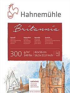 BRITANNIA - HOT PRESSED 300GR - 12V - 42X56CM