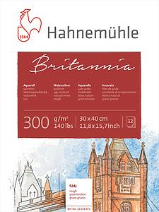 BRITANNIA - ROUGH 300GR - 12V - 30X40CM