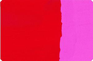 PREMIUM PIGMENT FLACON 21G - 372 NAFTOLROOD 
