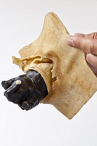 ECO LATEX - VORMRUBBER - 5L