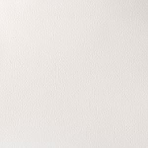 PROFESSIONAL WATERVERF TUBE 5ML - 644 TITAANWIT (OPAQUE)