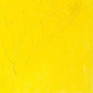 WINTON OIL COLOUR 200ML - 087 CADMIUM CITROENGEEL TINT