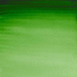PROFESSIONAL WATERVERF TUBE 14ML - 311 HOOKERSGROEN