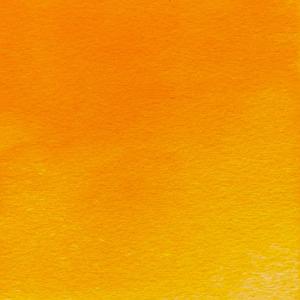 PROFESSIONAL WATERVERF TUBE 14ML - 899 CADMIUMVRIJ ORANJE