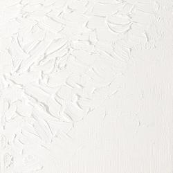 ARTIST OIL TUBE 37ML - TITANIUM WHITE