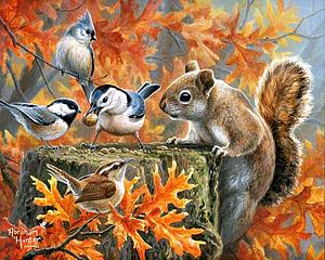 PAINT BY NUMBERS 40x50CM - MISCHIEVOUS SQUIRREL