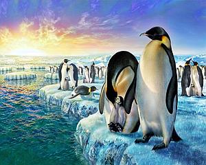 PAINT BY NUMBERS 40x50CM - PENGUINS ON THE SEA ICE