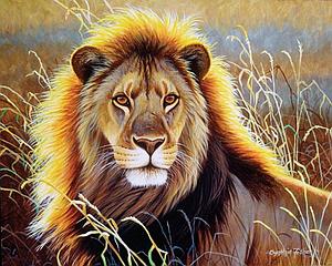 PAINT BY NUMBERS 40x50CM - LION IN THE SAVANNAH