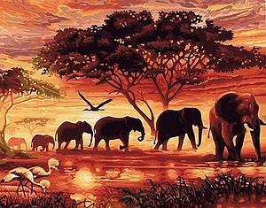 PAINT BY NUMBERS 40x50CM - ELEPHANTS AT SUNSET