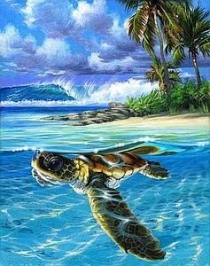 PAINT BY NUMBERS 40x50CM - RELAXING TURTLE