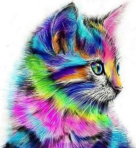 PAINT BY NUMBERS 40x50CM - COLORFUL KITTEN