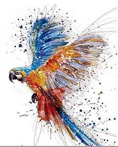PAINT BY NUMBERS 40x50CM - PARROT IN FULL FLIGHT