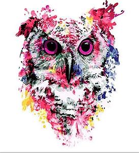 PAINT BY NUMBERS 40x50CM - MODERN PINK OWL