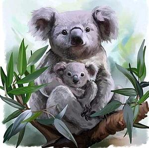 DIAMOND PAINTING 40x50CM - KOALA MOTHER AND BABY